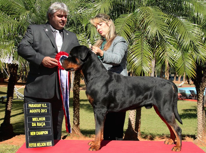 SIMBA da Fazenda Talisman